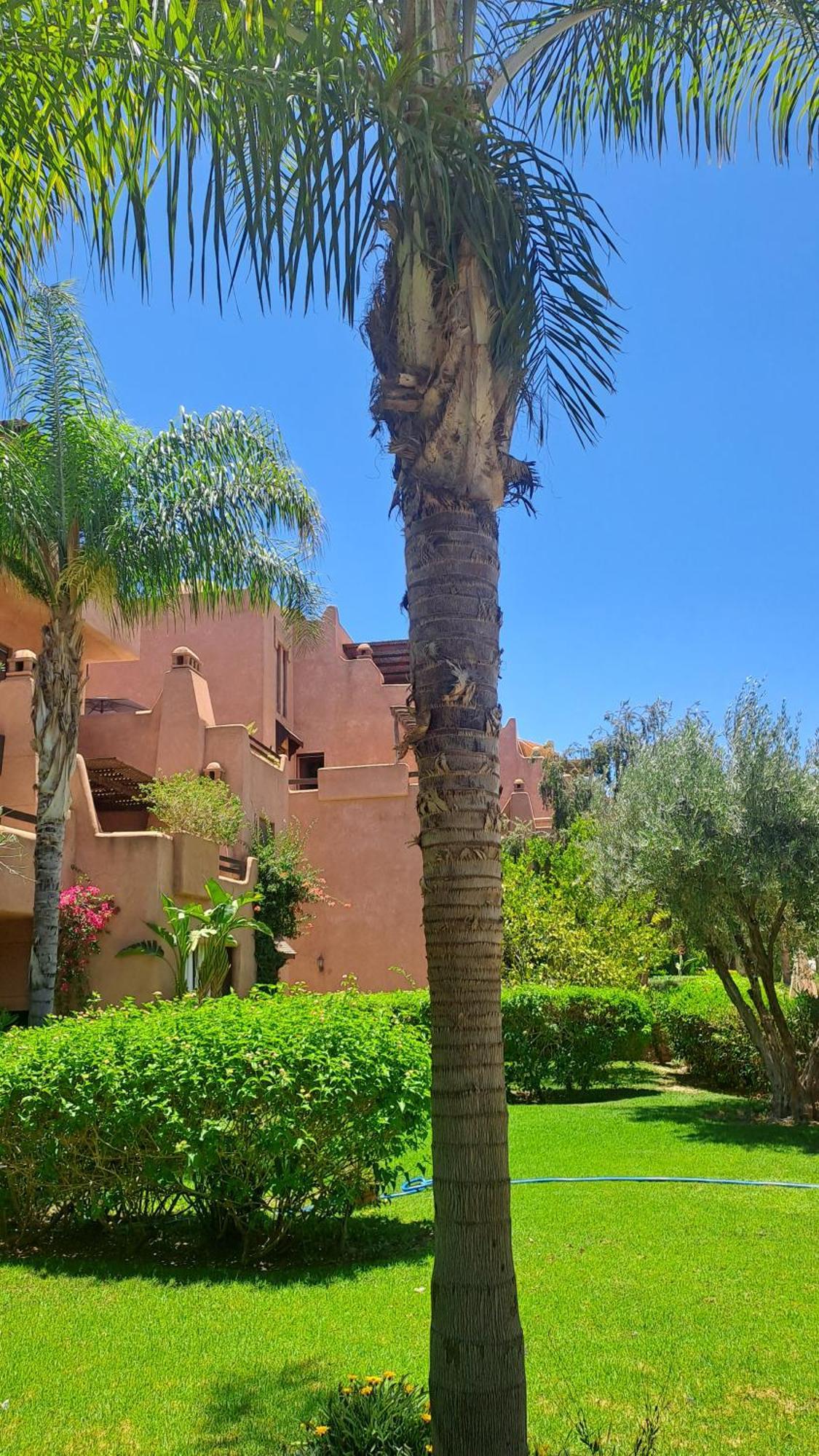 Avec Piscine Dans Belle Privee Marrakesh